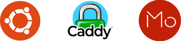 Sysadmin deploying Caddy Web Server on Ubuntu 24.04 for automatic HTTPS reverse proxy on ServerMO Bare Metal.