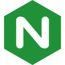 Nginx logo